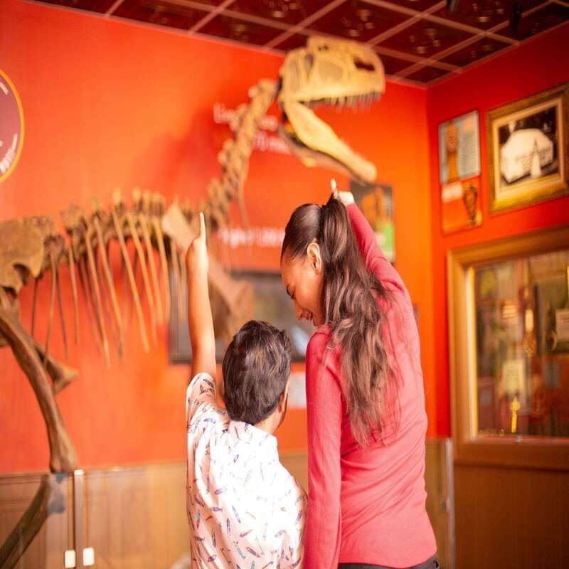 Niagara Falls: Ripley's Believe It or Not! Museum Entry - Booking and Entry Advantages