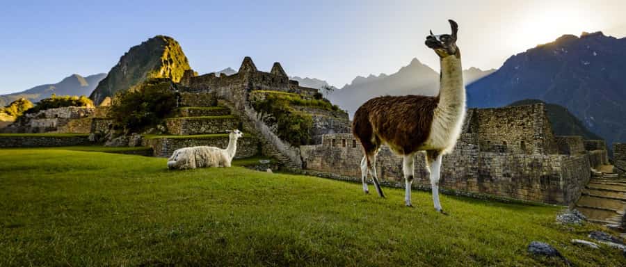 Machu Picchu Tour + Huayna Picchu Mountain - A Few Drawbacks to Consider
