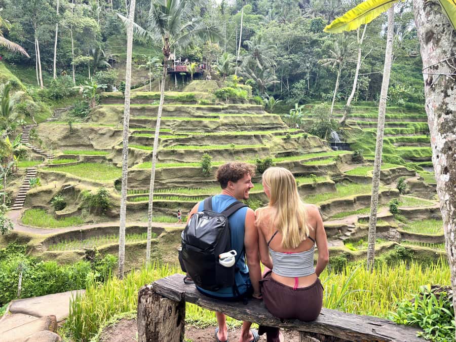 Ubud: Waterfalls, Water Temple & Rice Terraces Private Tour - The Itinerary Breakdown in Detail