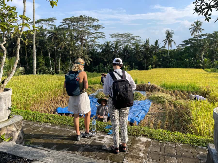 Ubud: Waterfalls, Water Temple & Rice Terraces Private Tour - FAQs