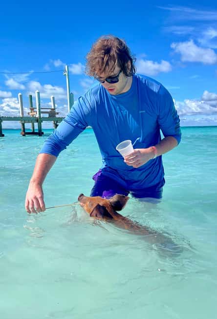 Rose Island: Snorkeling, Swimming Pigs & Unlimited Rum Punch - The Experience in Detail: What Sets It Apart