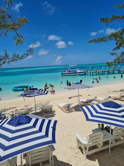 Rose Island: Snorkeling, Swimming Pigs & Unlimited Rum Punch - The Sum Up