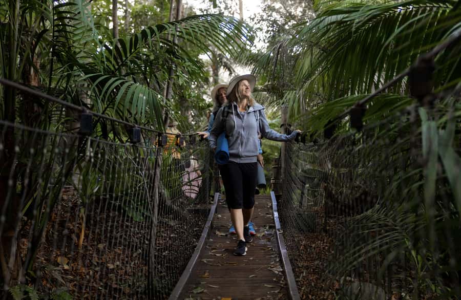 Zen In The Zoo - Good To Know