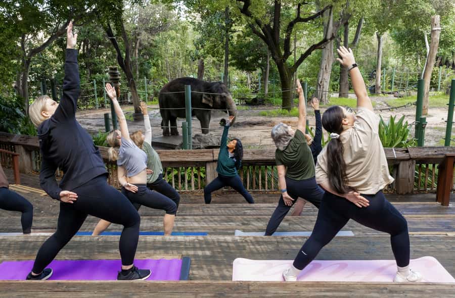 Zen In The Zoo - A Closer Look at the Itinerary