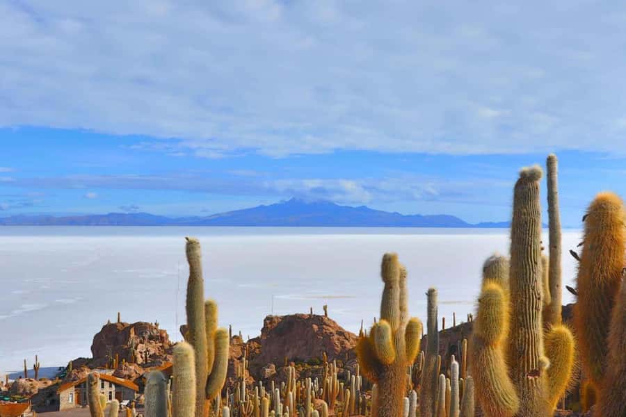 From San Pedro de Atacama | Uyuni Salt Flat 3 days in Group - From San Pedro de Atacama | Uyuni Salt Flat 3 days in Group