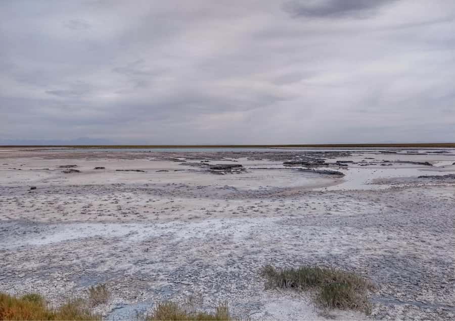 Cejar Lagoon - Tour : San Pedro de Atacama - Chile - Who Should Consider This Tour?