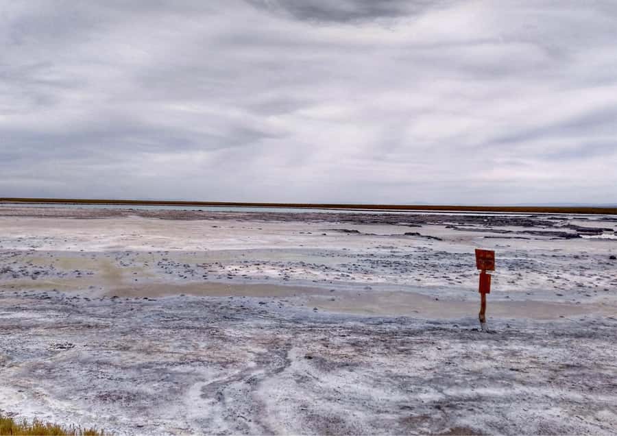 Cejar Lagoon - Tour : San Pedro de Atacama - Chile - A Deeper Look at the Cejar Lagoon Tour