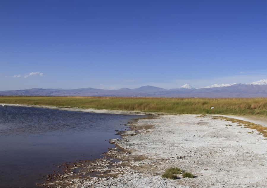 Cejar Lagoon - Tour : San Pedro de Atacama - Chile - Final Thoughts
