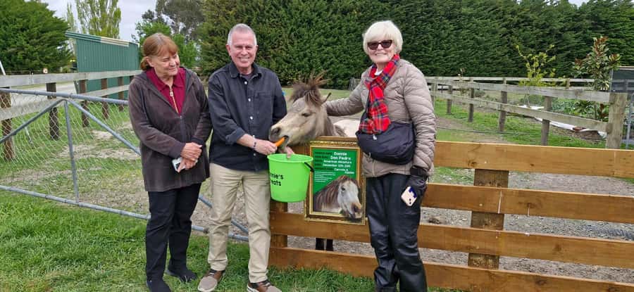 From Christchurch: Sheep Farm Experience with Lunch & Winery - Key Points