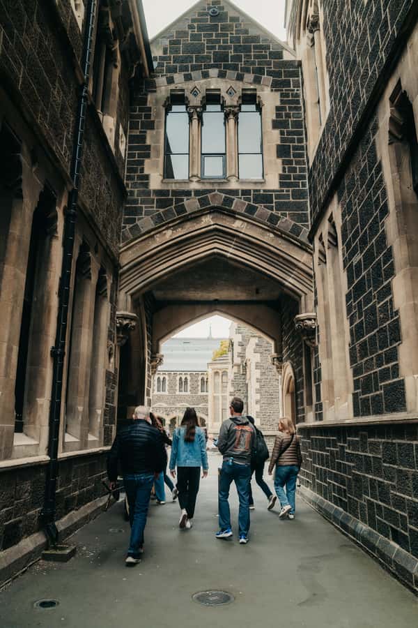 From Christchurch: Sheep Farm Experience with Lunch & Winery - Authenticity and Local Hospitality