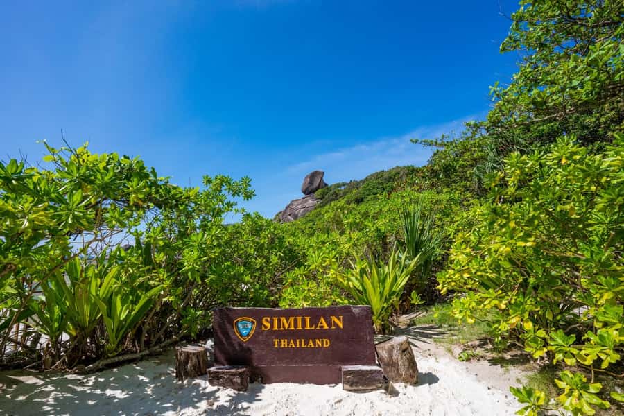 From Krabi: Similan Islands Day Trip by Speedboat - Food and Refreshments: Satisfying and Authentic