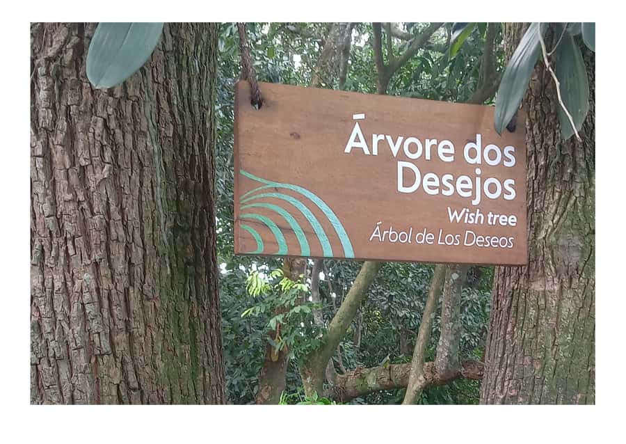 Rio Express Private - What’s Included and What’s Not