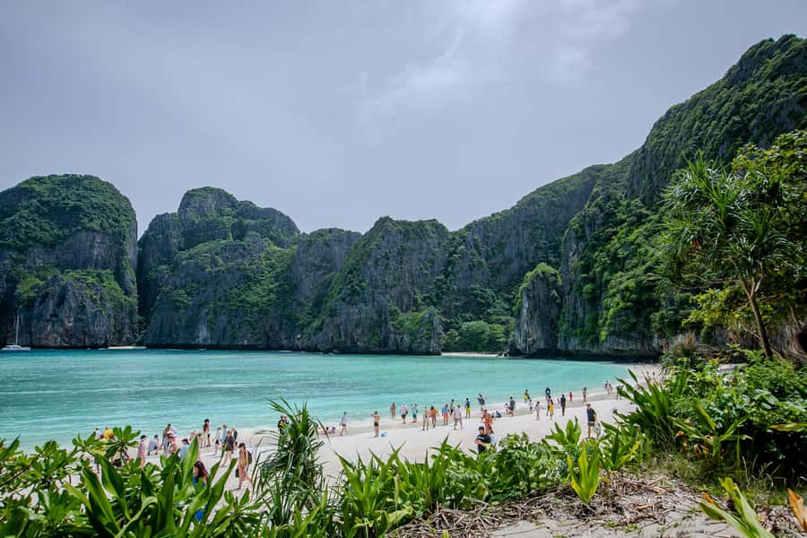 Phi Phi: 7 Islands Speed Boat Tour with Sunset and Plankton - FAQ