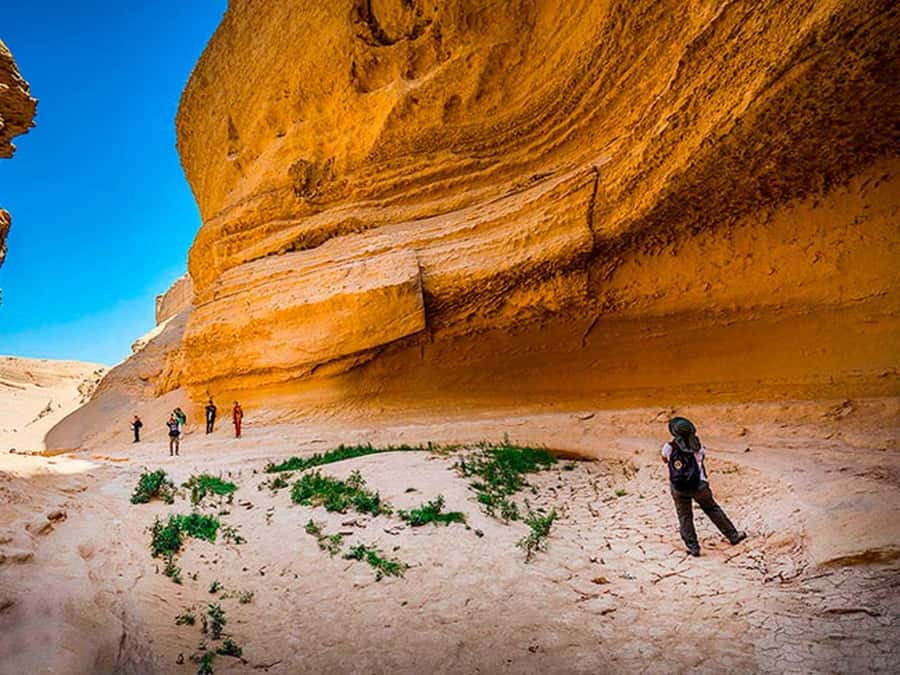 From Ica || Los Perdidos Canyon Full Day Excursion || - Key Points