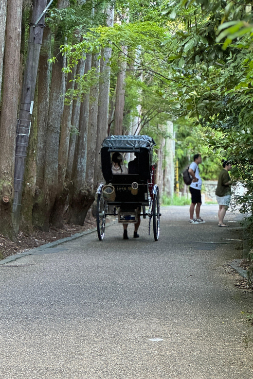 Kyoto: Stroll around the Depths of Arashiyama - An In-Depth Look at the Arashiyama Guided Tour