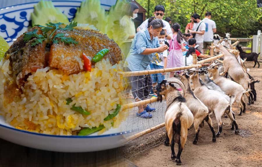 Private 3 IG Cafe + Don Wai Floating Market: from Bangkok - Key Points