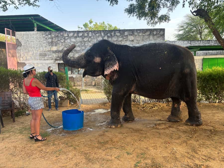 From Delhi: Jaipur Guided City Tour By AC Car - Outside Jal Mahal: A Photo Opportunity
