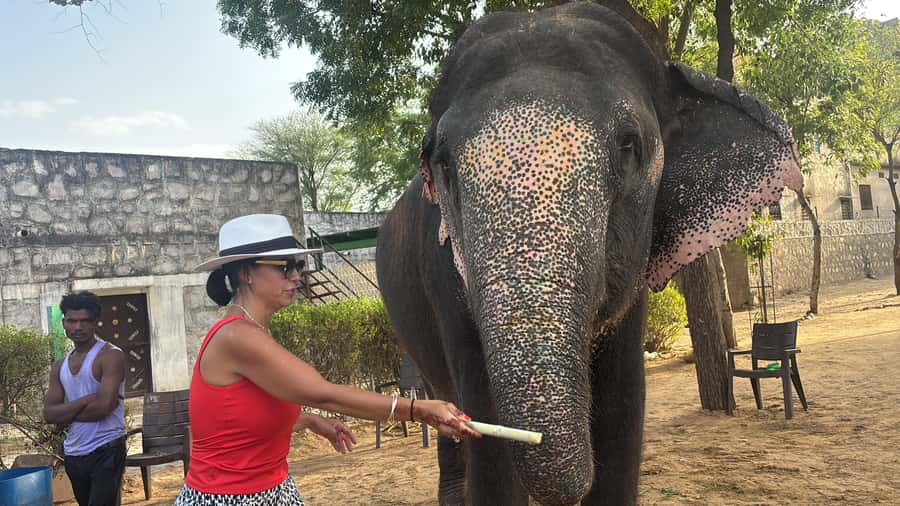 From Delhi: Jaipur Guided City Tour By AC Car - Authentic Rajasthani Cuisine: A Traditional Lunch