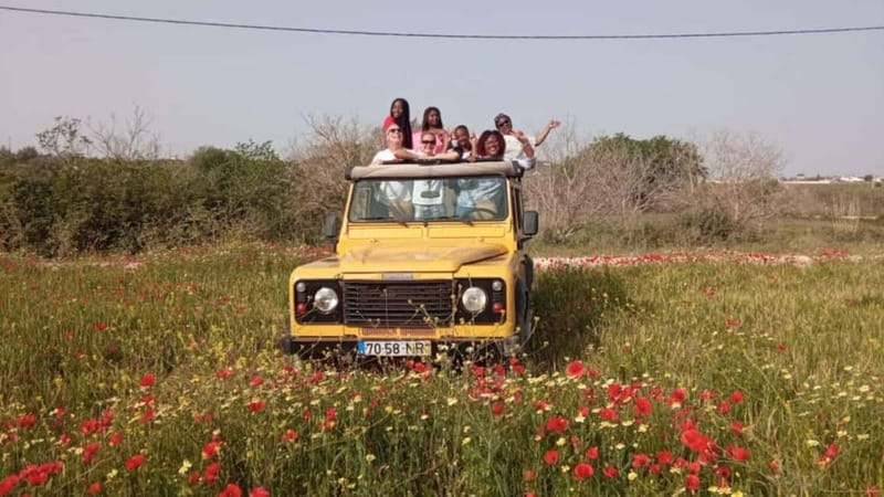 Albufeira: Off-Road Jeep Tour with Sunset - Practical Details and Value