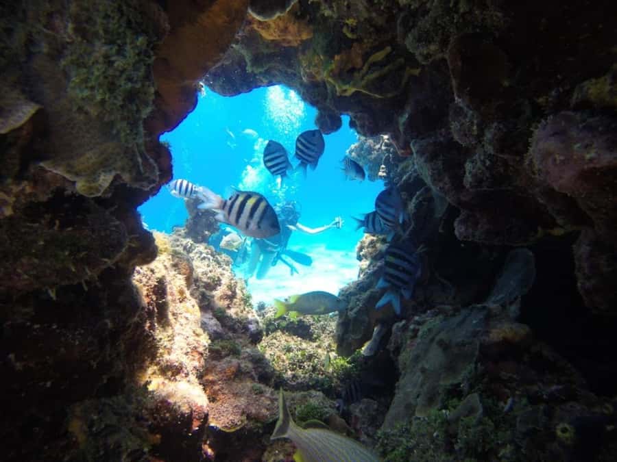 SAN ANDRES: SNUBA UNDERWATER EXPERIENCE - Exploring San Andrés: The SNUBA Experience