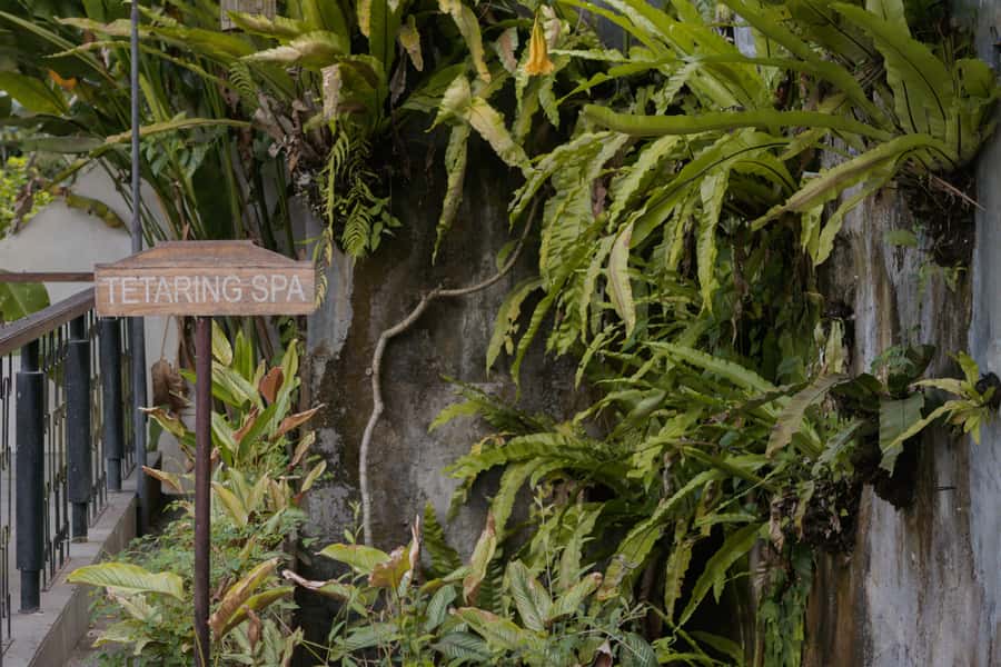 Aromatherapy Massage - Deep Dive into the Experience: The Details