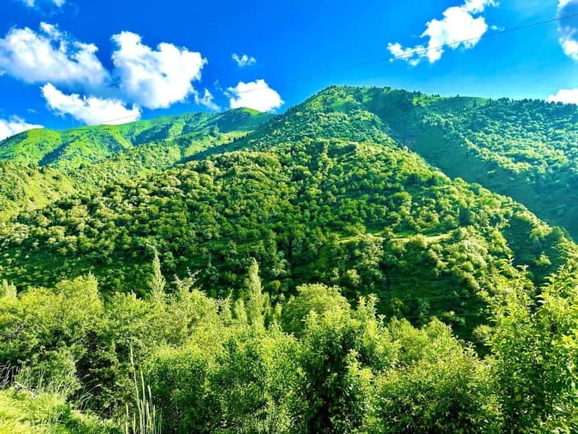 Welcome to Uzbekistan - The Tour Experience: What to Expect