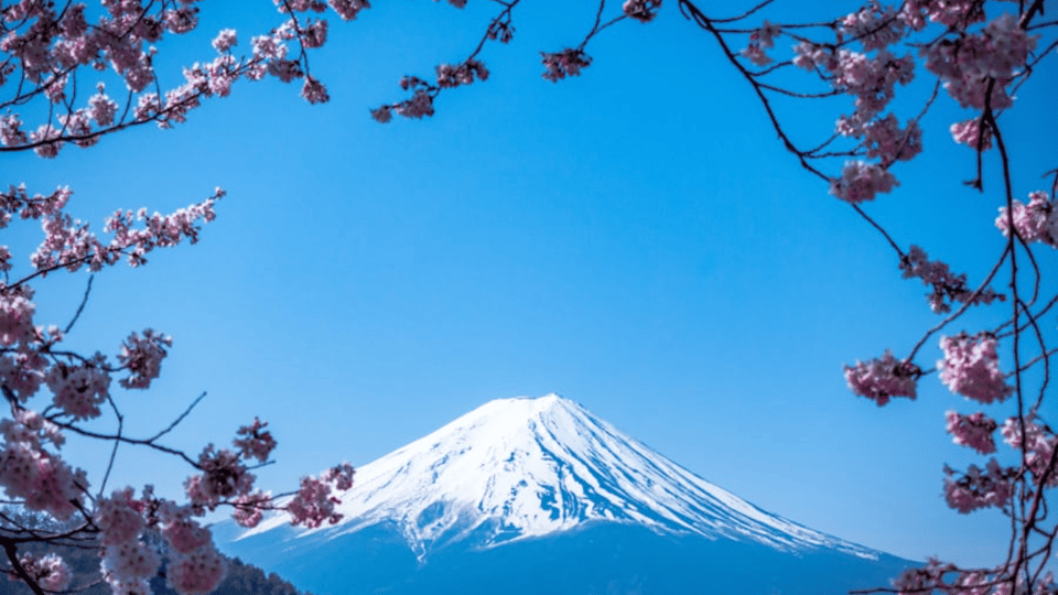 From Tokyo:Mount Fuji Private Customizable Tour With English - The Itinerary Breakdown
