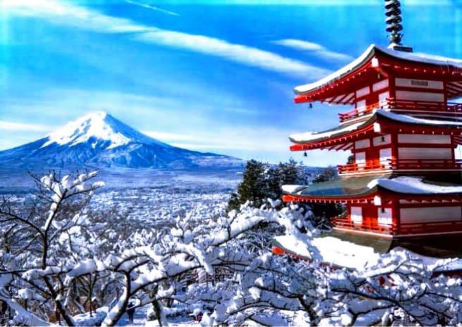 From Tokyo:Mount Fuji Private Customizable Tour With English - The Value of a Private, Full-Day Experience