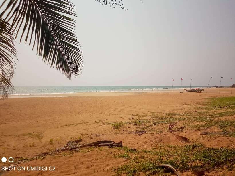 Cityscape Safari: Five Days of Discovery - FAQ