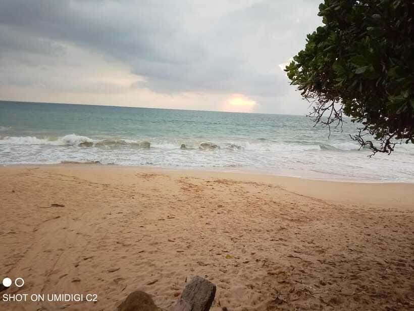 Cityscape Safari: Five Days of Discovery - Final Thoughts