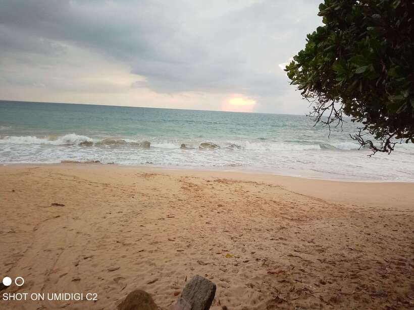 Cityscape Safari: Five Days of Discovery - Detailed Breakdown of the Itinerary