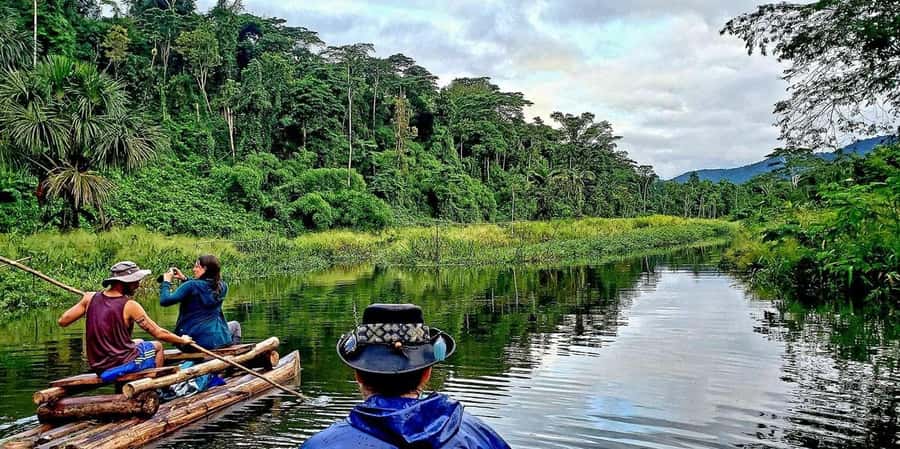 From Cusco | Manu Jungle Tour 7D/6N | Wonders of Manu - A Closer Look at the Manu Jungle Tour: From Cusco to the Amazon