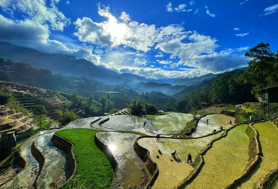 Sapa Trekking Explore Terraced Rice Fields, Ethnic Culture - The Morning Pickup and Introduction
