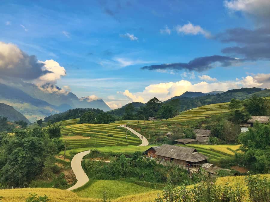 Sapa Trekking Explore Terraced Rice Fields, Ethnic Culture - Is This Tour Worth It?