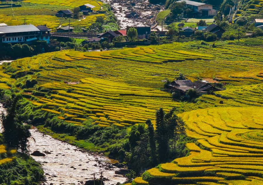Sapa Trekking Explore Terraced Rice Fields, Ethnic Culture - Practical Details and What to Bring