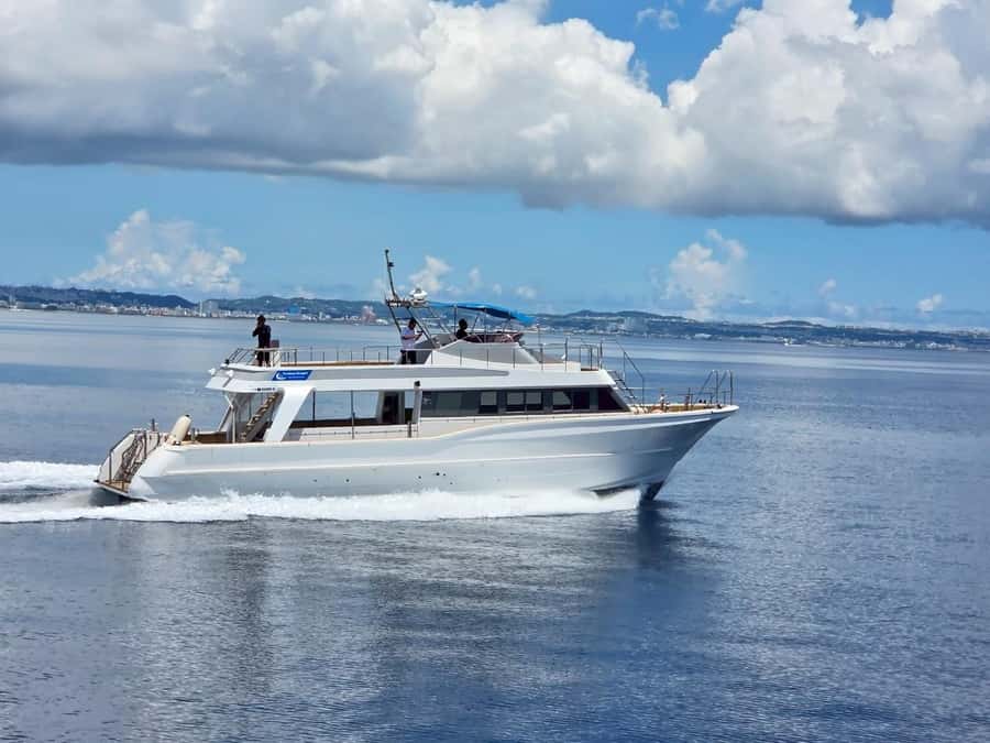 Chatan: Okinawa Whale Watching - Frequently Asked Questions