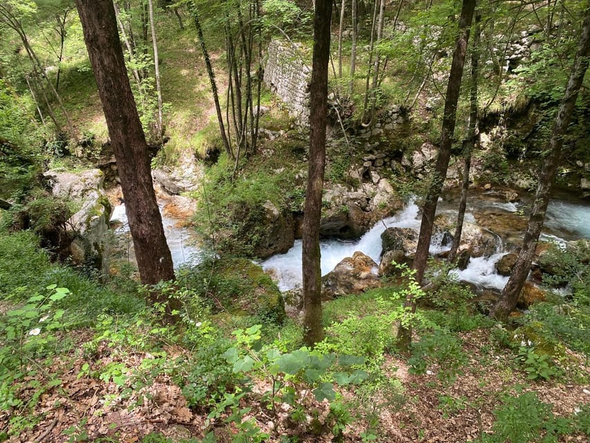 Collepardo: Trisulti Charterhouse and Hermitage Guided Hike - Who Will Love This Tour?
