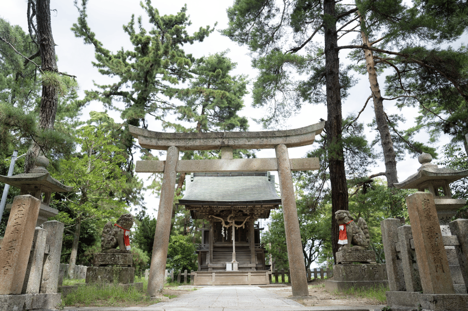 From Kyoto: Private Day Trip to Hidden Amanohashidate & Ine - Final Thoughts