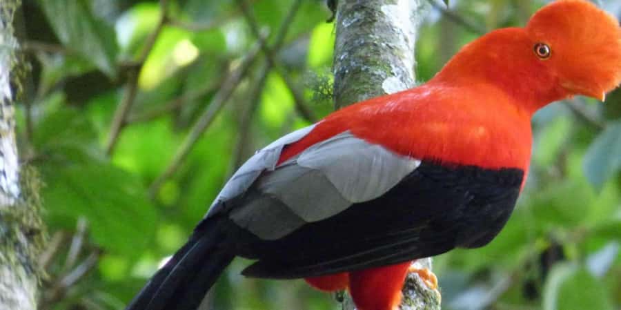 3 Day Manu Tour - Frequently Asked Questions