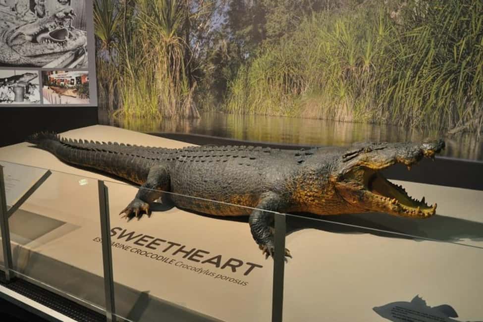 Darwin: City Explorer Bus Tour with Tour Tub - Authentic Experiences and Genuine Insights