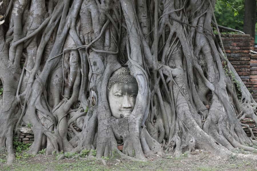 Full Day : Bangkok-Ayutthaya UNESCO World Heritage Site - Key Points
