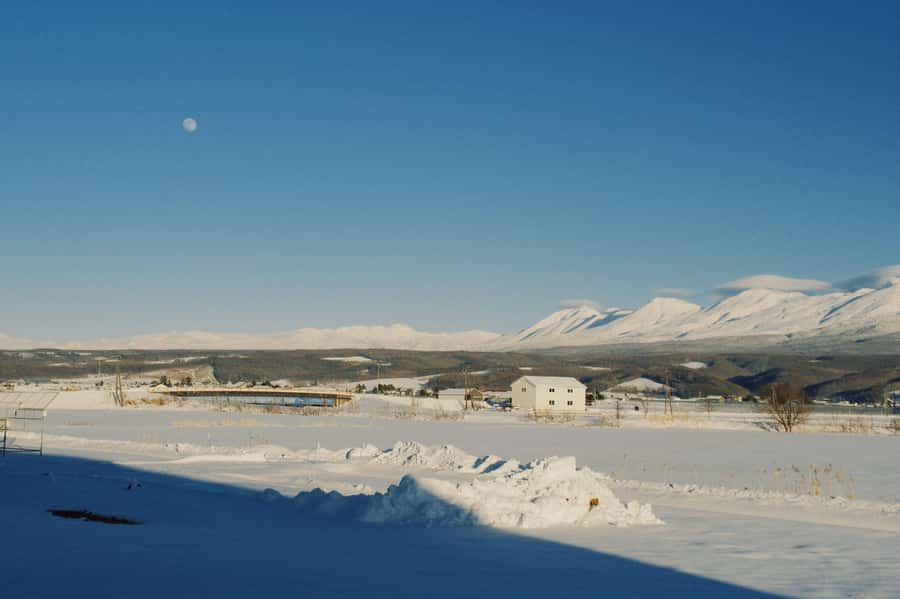 Hokkaido Tour: Snowy Landscapes & Polar Animals & Waterfalls - Authentic Experiences and Practical Tips