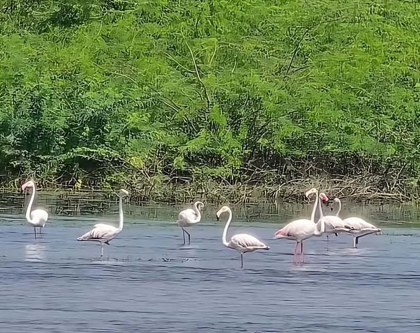 Bishnoi Village :Safari tour - The Route and Key Stops