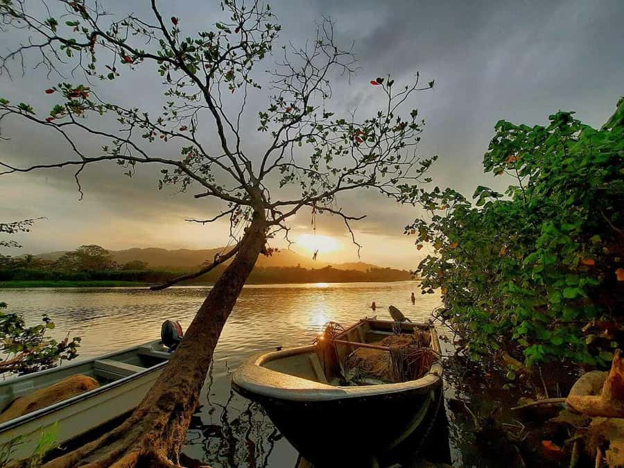 SANTAMARTA: TOUR Palomino, Magdalena. Breakfast and Lunch Included - An In-Depth Look at the Palomino Tour Experience