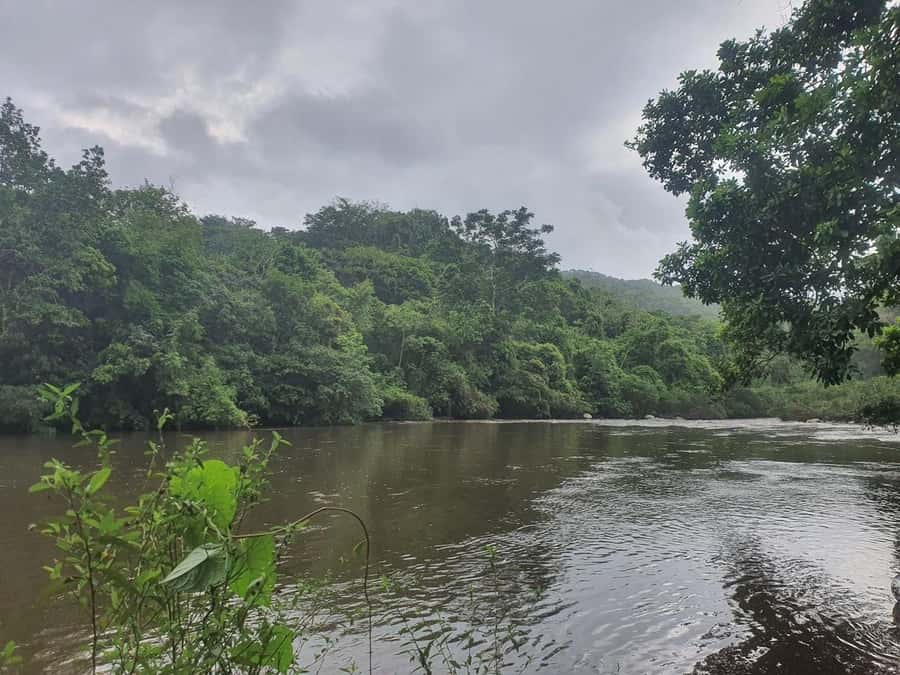 SANTAMARTA: TOUR Palomino, Magdalena. Breakfast and Lunch Included - FAQ: Your Practical Questions Answered