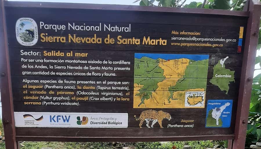 SANTAMARTA: TOUR Palomino, Magdalena. Breakfast and Lunch Included - The Sum Up