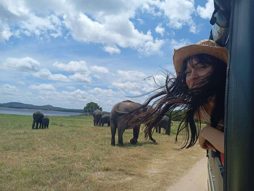 Minneriya: Half-Day Morning or Evening Jeep Safari - The Experience Provider