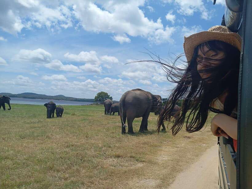 Minneriya: Half-Day Morning or Evening Jeep Safari - Who Should Consider This Tour?