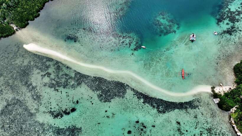 El Nido: Snake Island and Cave Tour with Island Lunch - Who Will Love This Tour?