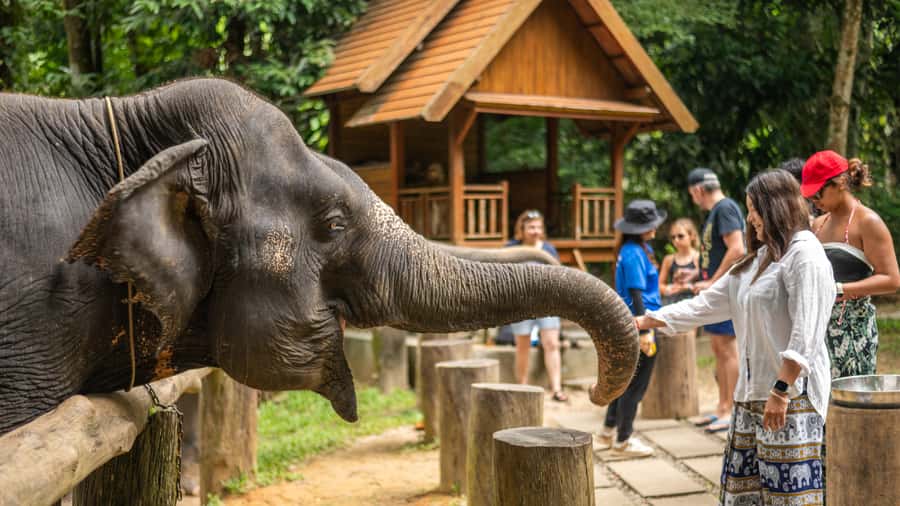 Khao Lak: Elephant Camp, Bamboo Rafting, and Waterfall Tour - Practical Details and What You Need to Know
